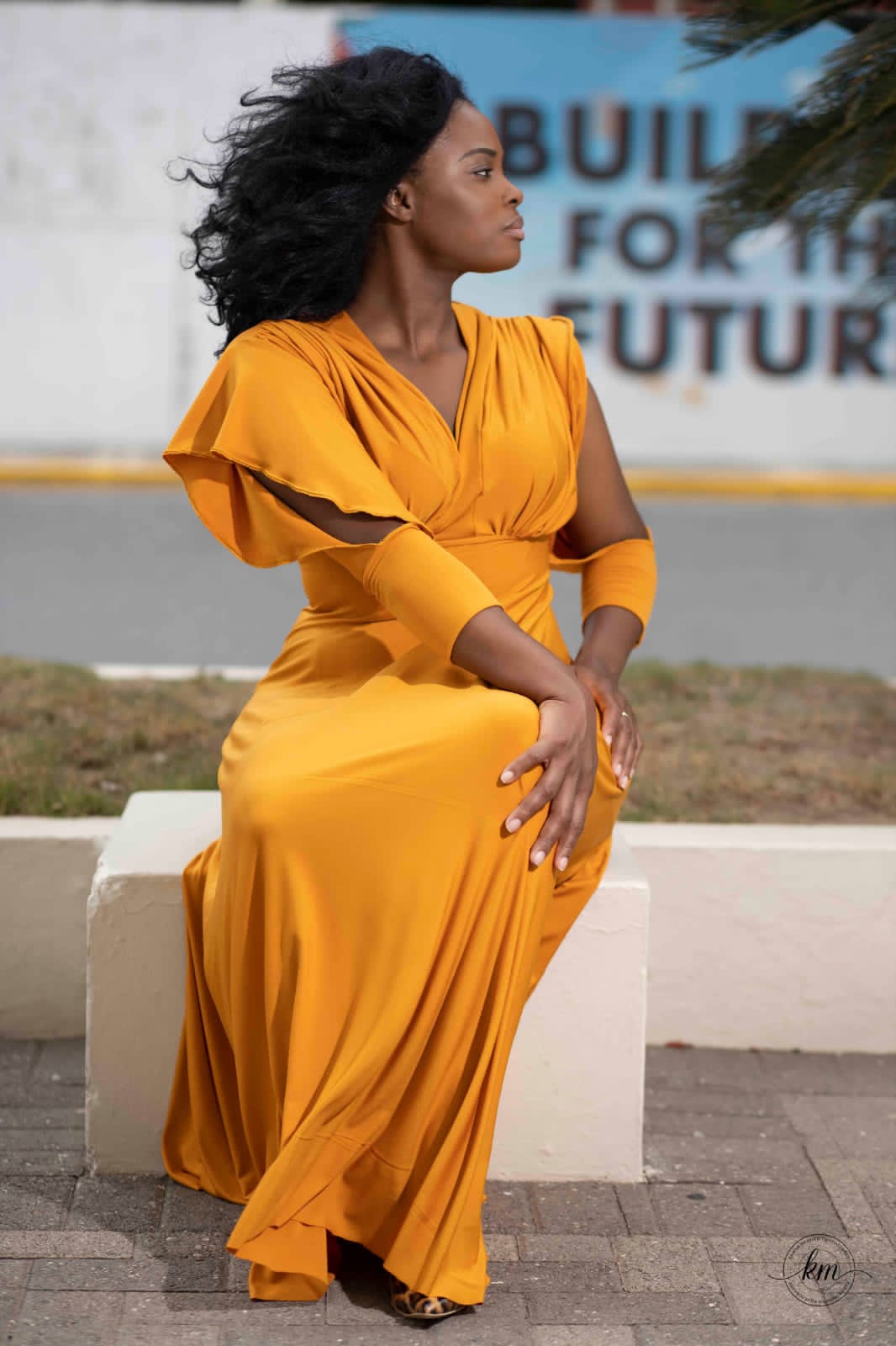 HOLLYWOOD (Dress) HOLLYWOOD (Dress)